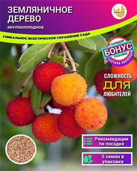 {{photo.Alt || photo.Description || 'Земляничное Дерево КРУПНОПЛОДНОЕ семена 5 шт + Бонус + Рекомендации по посеву БЕСПЛАТНО!'}}