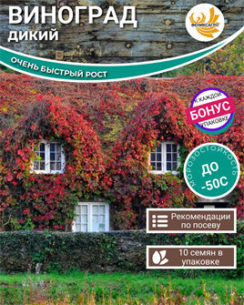 {{photo.Alt || photo.Description || 'Дикий Виноград семена 10 шт + Бонус + Рекомендации по проращиванию'}}