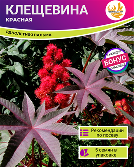 {{photo.Alt || photo.Description || 'Красная Клещевина семена 5 шт + Бонус + Рекомендации по проращиванию БЕСПЛАТНО'}}