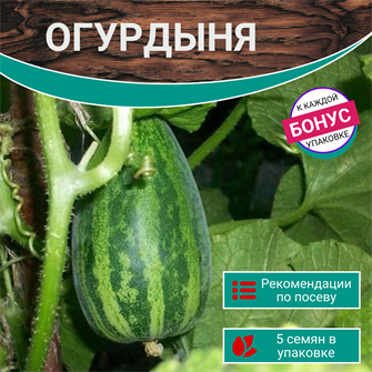 {{photo.Alt || photo.Description || 'Огурдыня семена 5 шт + Бонус + Рекомендации по проращиванию БЕСПЛАТНО'}}