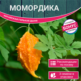 {{photo.Alt || photo.Description || 'Китайская Горькая Дыня Момордика семена 3 шт + Бонус + Рекомендации по проращиванию БЕСПЛАТНО'}}