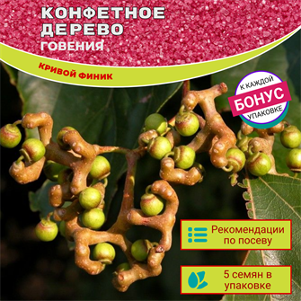 {{photo.Alt || photo.Description || 'Конфетное Дерево Говения семена 5 шт + Бонус + Рекомендации по проращиванию БЕСПЛАТНО'}}