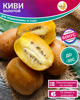 {{photo.Alt || photo.Description || 'Золотой Киви Самый Сладкий семена 10 шт + Бонус + Рекомендации по проращиванию БЕСПЛАТНО'}}