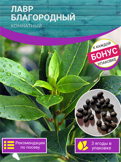 {{photo.Alt || photo.Description || 'Лавр Благородный Комнатный семена 3 шт + Бонус + Рекомендации по проращиванию БЕСПЛАТНО'}}
