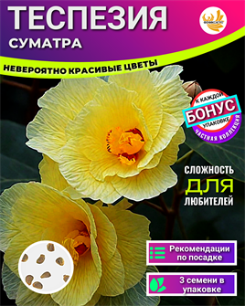 {{photo.Alt || photo.Description || 'Теспезия Суматра Семена 3шт + Бонус + Инструкции по посеву БЕСПЛАТНО!'}}