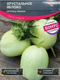 {{photo.Alt || photo.Description || 'Огурец-Лимон Хрустальное Яблоко семена 5шт + Бонус + Рекомендации по посеву БЕСПЛАТНО!'}}