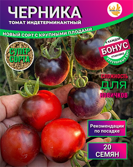 {{photo.Alt || photo.Description || 'Томат Черника семена 20 шт + Бонус + Рекомендации по посадке БЕСПЛАТНО!'}}