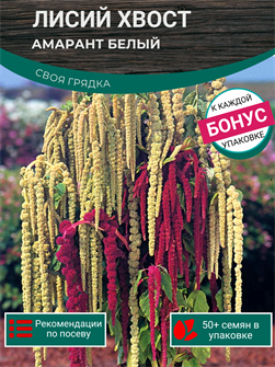{{photo.Alt || photo.Description || 'Амарант Лисий Хвост Белый семена более 50шт + Бонус + Рекомендации по посеву БЕСПЛАТНО!'}}
