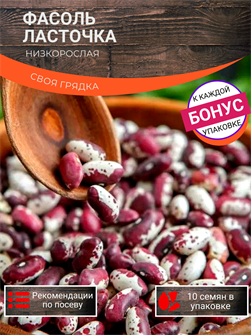 {{photo.Alt || photo.Description || 'Фасоль Ласточка Низкорослая семена 10 шт Своя Грядка + Бонус + Рекомендации по посеву БЕСПЛАТНО!'}}