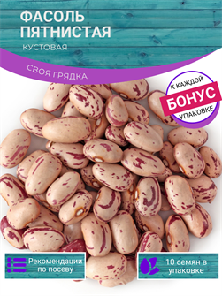 {{photo.Alt || photo.Description || 'Фасоль Пятнистая Кустовая семена 10 шт Своя Грядка + Бонус + Рекомендации по посеву БЕСПЛАТНО!'}}