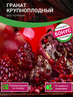 {{photo.Alt || photo.Description || 'Гранат Крупноплодный Восточный семена 10 шт + Бонус + Рекомендации по проращиванию'}}