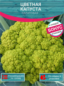 {{photo.Alt || photo.Description || 'Цветная Капуста Салатовая семена 10 шт + Бонус + Рекомендации по посеву БЕСПЛАТНО!'}}