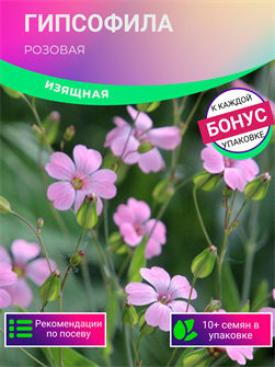 {{photo.Alt || photo.Description || 'Гипсофила Розовая семена 10шт + Бонус + Рекомендации по посеву БЕСПЛАТНО!'}}