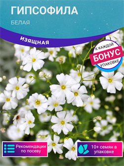 {{photo.Alt || photo.Description || 'Гипсофила Белая семена 10шт + Бонус + Рекомендации по посеву БЕСПЛАТНО!'}}