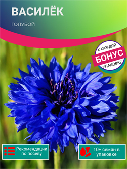 {{photo.Alt || photo.Description || 'Василёк Голубой семена 10шт + Бонус + Рекомендации по посеву БЕСПЛАТНО!'}}