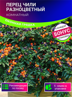 {{photo.Alt || photo.Description || 'Перец Комнатный Чили Разноцветный семена 5 шт + Бонус + Рекомендации по посеву'}}