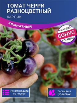 {{photo.Alt || photo.Description || 'ТОМАТ-КАРЛИК Черри Комнатный Разноцветный семена 5шт + Бонус + Рекомендации по посеву БЕСПЛАТНО!'}}