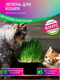 {{photo.Alt || photo.Description || 'Зелень для Кошек семена более 50 шт + Бонус + Рекомендации по посеву БЕСПЛАТНО!'}}