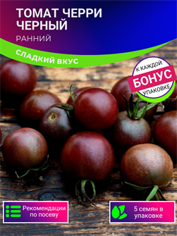 {{photo.Alt || photo.Description || 'Томат Черри Черный семена 5шт Сладкий Вкус + Бонус + Рекомендации по посеву БЕСПЛАТНО!'}}