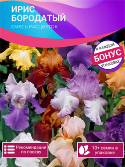 {{photo.Alt || photo.Description || 'Ирис Бородатый Смесь Окрасок семена 10шт + Бонус + Рекомендации по посадке БЕСПЛАТНО!'}}