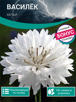 {{photo.Alt || photo.Description || 'Василёк Белый семена 10шт + Бонус + Рекомендации по посеву БЕСПЛАТНО!'}}