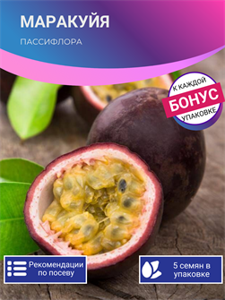 {{photo.Alt || photo.Description || 'Маракуйя семена 5 шт + Бонус + Рекомендации по посадке'}}