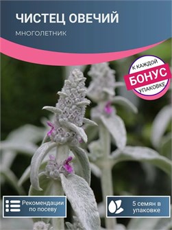 {{photo.Alt || photo.Description || 'Чистец Овечий семена 5 шт + Бонус + Рекомендации по проращиванию'}}