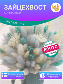 {{photo.Alt || photo.Description || 'Зайцехвост Комнатный семена 10 шт + Бонус + Рекомендации по проращиванию БЕСПЛАТНО'}}