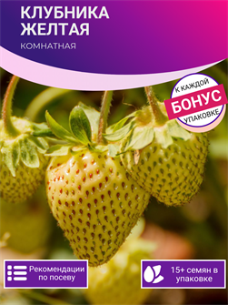 {{photo.Alt || photo.Description || 'Клубника Комнатная Желтая семена 5шт + Бонус + Рекомендации по проращиванию'}}