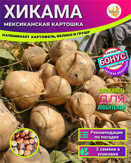 {{photo.Alt || photo.Description || 'Хикама Мексиканская Картошка семена 3шт + Бонус + Рекомендации по посеву БЕСПЛАТНО!'}}