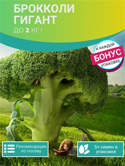 {{photo.Alt || photo.Description || 'Брокколи ГИГАНТ семена 5 шт + Бонус + Рекомендации по посеву БЕСПЛАТНО!'}}