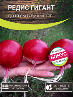 {{photo.Alt || photo.Description || 'Редис ГИГАНТ семена 20 шт + Бонус + Рекомендации по посадке БЕСПЛАТНО!'}}