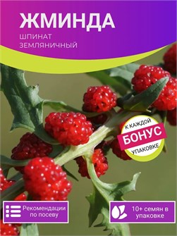 {{photo.Alt || photo.Description || 'Жминда семена 10 шт + Бонус + Рекомендации по посеву БЕСПЛАТНО!'}}