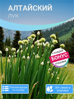 {{photo.Alt || photo.Description || 'Лук Алтайский семена более 10шт + Бонус + Рекомендации по посадке БЕСПЛАТНО!'}}