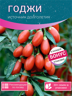 {{photo.Alt || photo.Description || 'Годжи семена более 30 шт + Бонус + Рекомендации по проращиванию'}}