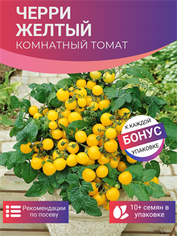 {{photo.Alt || photo.Description || 'Томат Черри Комнатный Желтый семена более 10 шт + Бонус + Рекомендации по посеву БЕСПЛАТНО!'}}