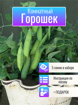 {{photo.Alt || photo.Description || 'Горошек Комнатный семена 5 шт + Бонус + Рекомендации по посеву БЕСПЛАТНО!'}}