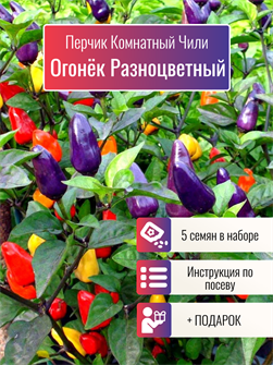 {{photo.Alt || photo.Description || 'Перчик Комнатный Огонёк Разноцветный семена 5 шт + Бонус + Рекомендации по посеву'}}