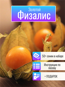 {{photo.Alt || photo.Description || 'Физалис Золотой семена 50+ шт со вкусом Ананаса и Земляники + Бонус + Рекомендации по посеву БЕСПЛАТНО!'}}