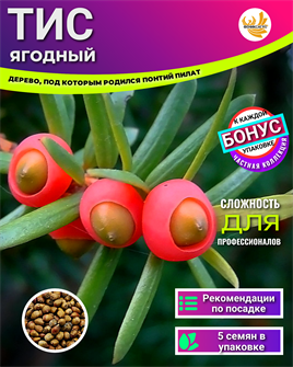 {{photo.Alt || photo.Description || 'Тис Ягодный семена 5шт + Бонус + Инструкции по посеву БЕСПЛАТНО!'}}