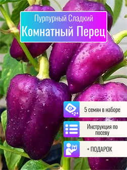 {{photo.Alt || photo.Description || 'Перец Пурпурный Комнатный Сладкий семена 5 шт + Бонус + Рекомендации по посеву БЕСПЛАТНО!'}}