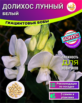 {{photo.Alt || photo.Description || 'Долихос Лунный семена 5 шт + Советы по Посеву + Подарок'}}