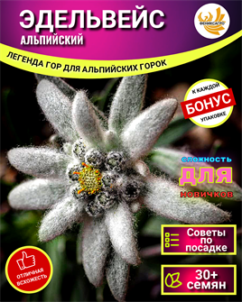 {{photo.Alt || photo.Description || 'Эдельвейс семена 30+шт Символ Храбрости + Бонус + Рекомендации по посеву БЕСПЛАТНО!'}}