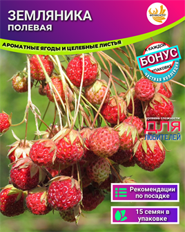 {{photo.Alt || photo.Description || 'Земляника Полевая семена 15 шт + Бонус + Рекомендации по проращиванию БЕСПЛАТНО!'}}