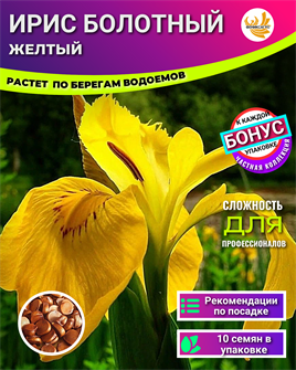 {{photo.Alt || photo.Description || 'Ирис Болотный Желтый семена 10шт + Бонус + Рекомендации по посадке БЕСПЛАТНО!'}}