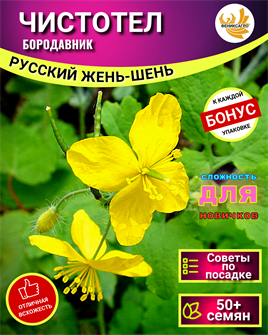 {{photo.Alt || photo.Description || 'Чистотел семена 50+шт Русский Жень-Шень + Бонус + Рекомендации по посадке БЕСПЛАТНО!'}}