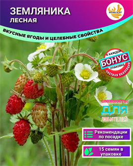 {{photo.Alt || photo.Description || 'Земляника Лесная Самая Полезная семена 15 шт + Бонус + Рекомендации по посадке БЕСПЛАТНО!'}}