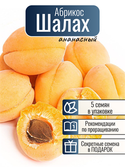 {{photo.Alt || photo.Description || 'Абрикос Шалах Ананасный семена 5 шт + Бонус + Рекомендации по посадке'}}