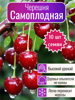 {{photo.Alt || photo.Description || 'Черешня Самоплодная семена 10 шт + Бонус + Рекомендации по посеву'}}