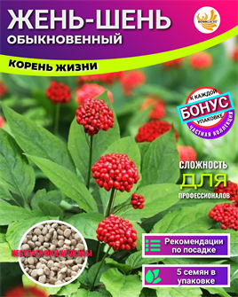 {{photo.Alt || photo.Description || 'Жень-Шень Корень Жизни семена 5шт + Бонус + Рекомендации по посеву БЕСПЛАТНО!'}}